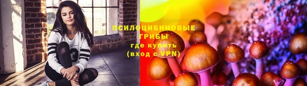 ALPHA PVP Алзамай
