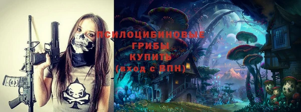 a pvp Алексин