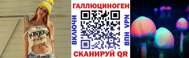 где можно купить Артёмовск Псилоцибиновые грибы MAGIC MUSHROOMS